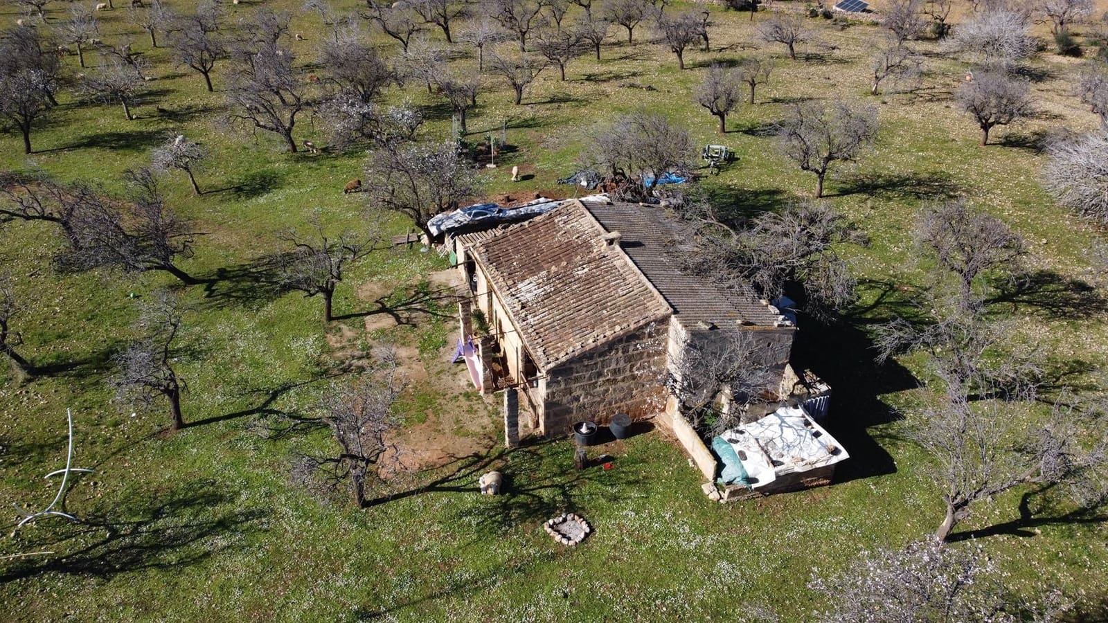 1 quarto Quinta/Casa Rural para venda em Colonia de Sant Pere / Colonia de San Pedro - 600 000 € (Ref: 7402230)