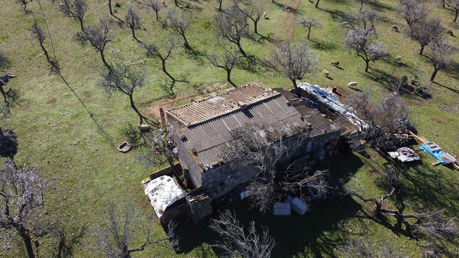 1 quarto Quinta/Casa Rural para venda em Colonia de Sant Pere / Colonia de San Pedro - 600 000 € (Ref: 7402230)