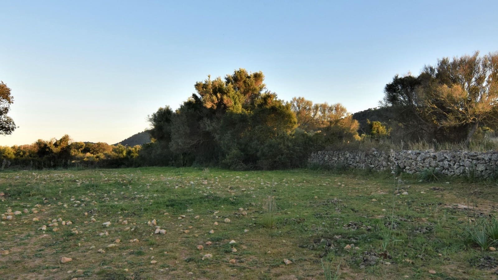 Ubebygd land til salgs i Canyamel - € 350 000 (Ref: 7565328)