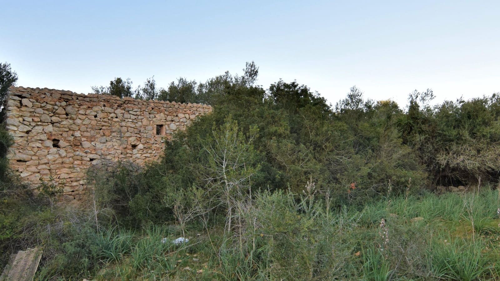 Ubebygd land til salgs i Canyamel - € 350 000 (Ref: 7565328)