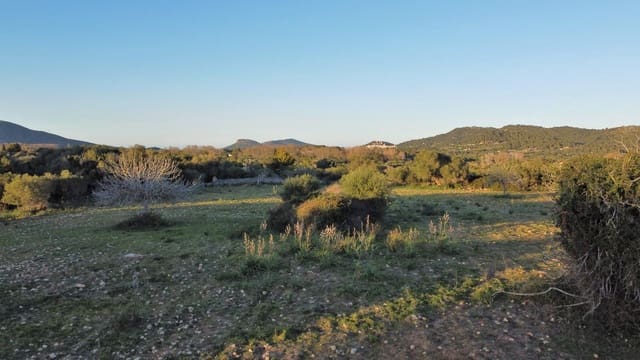 Mark till salu i Canyamel, Capdepera - 350 000 € (Ref: 7565328)