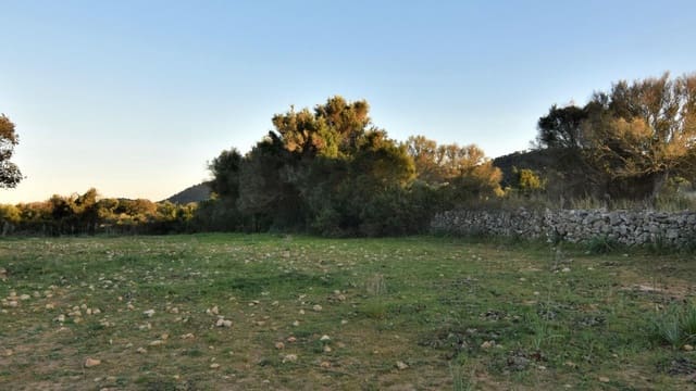 Mark till salu i Canyamel, Capdepera - 350 000 € (Ref: 7565328)