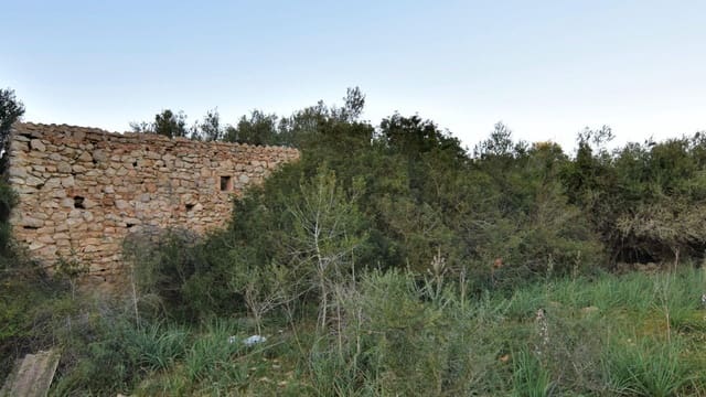 Mark till salu i Canyamel, Capdepera - 350 000 € (Ref: 7565328)