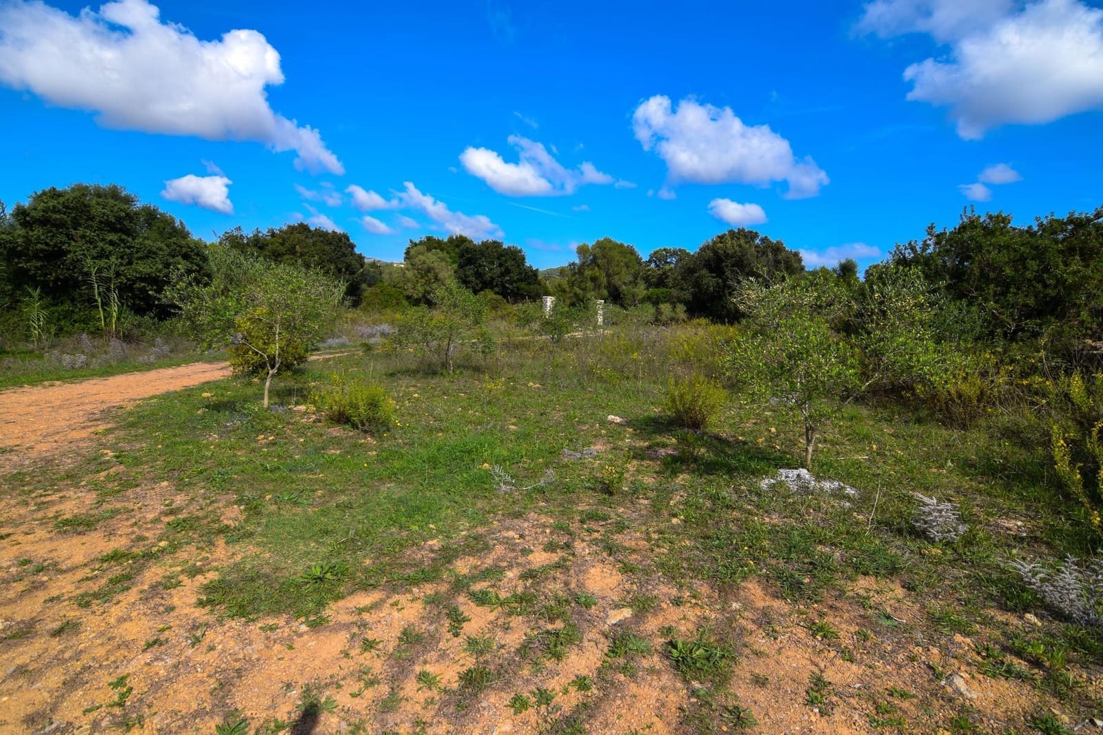 Finca/Casa Rural de 1 habitación en Artà en alquiler con piscina - 1.500 € (Ref: 7863070)