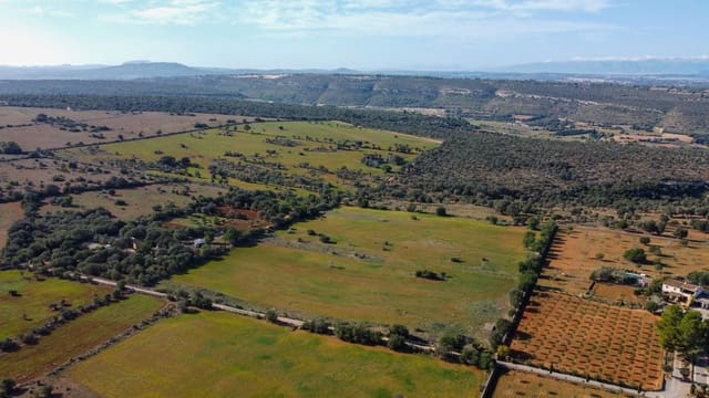 Undeveloped Land for sale in Manacor - € 320,000 (Ref: 7959298)