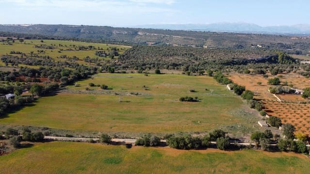 Undeveloped Land for sale in Manacor - € 320,000 (Ref: 7959298)