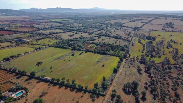 Undeveloped Land for sale in Manacor - € 320,000 (Ref: 7959298)