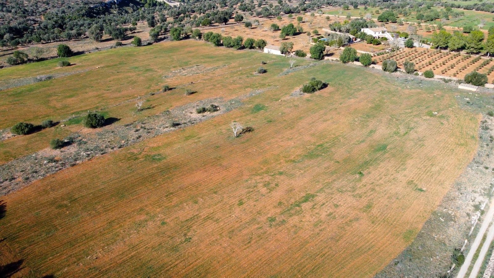 Grunde uden byggetilladelser til salg i Manacor - € 320.000 (Ref: 7959298)