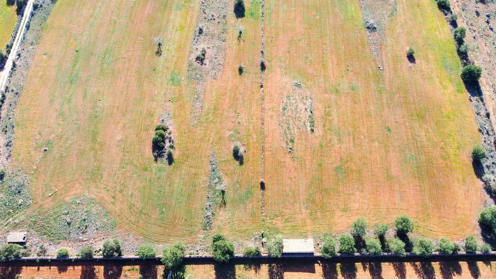 Grunde uden byggetilladelser til salg i Manacor - € 320.000 (Ref: 7959298)