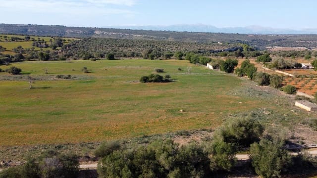 Undeveloped Land for sale in Manacor - € 320,000 (Ref: 7959298)