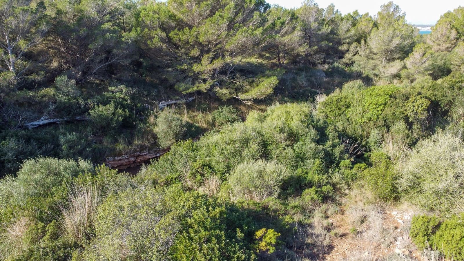 Tontti myytävänä paikassa Colonia de Sant Pere / Colonia de San Pedro - 530 250 € (Ref: 8137838)