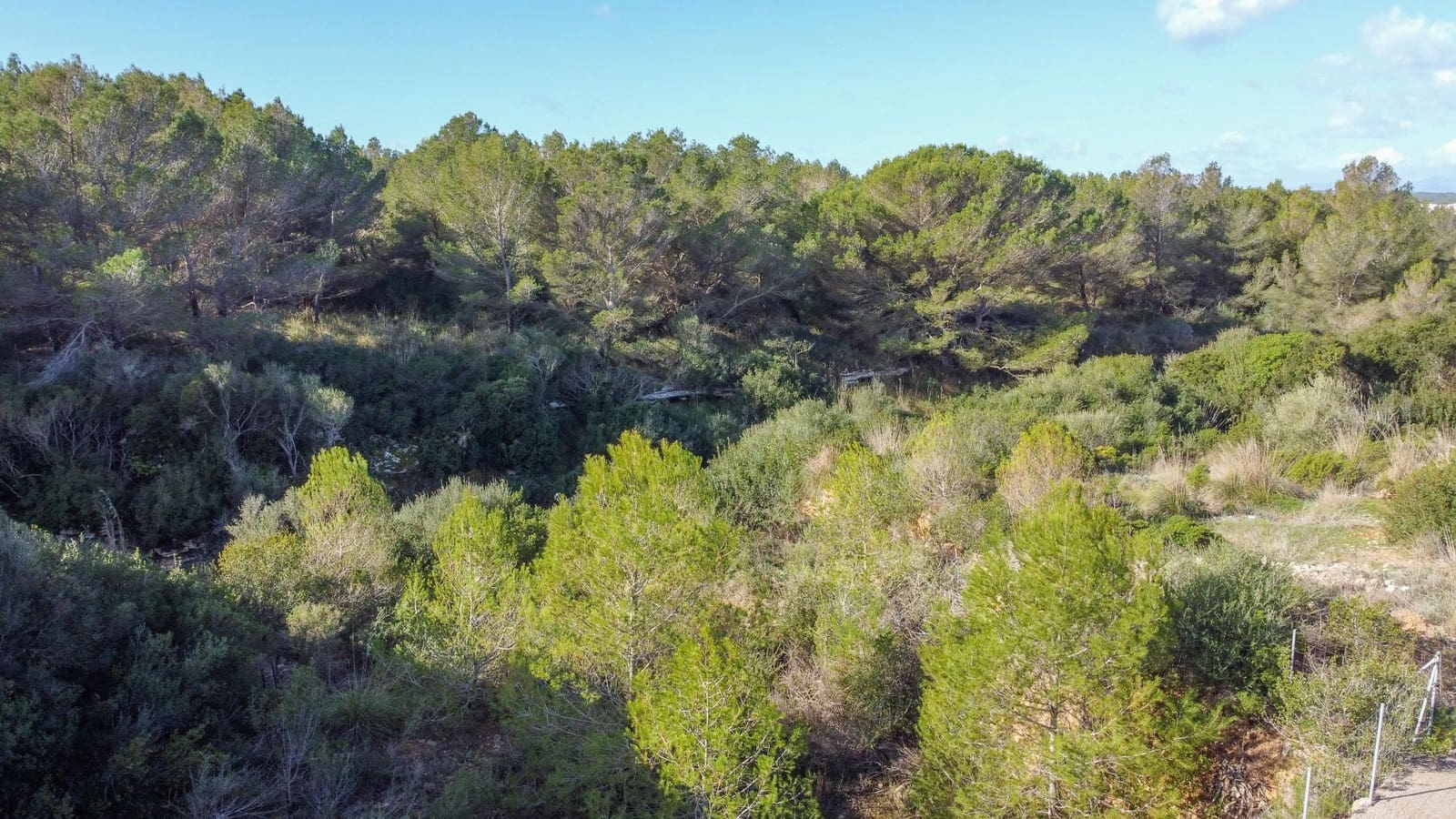 Tontti myytävänä paikassa Colonia de Sant Pere / Colonia de San Pedro - 530 250 € (Ref: 8137838)