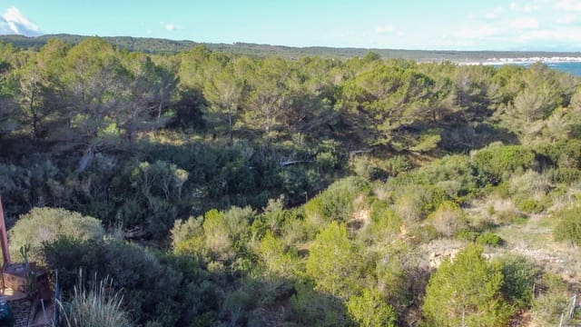 Area Edificabile in vendita in Colonia de Sant Pere / Colonia de San Pedro, Artà - 530.250 € (Rif: 8137838)