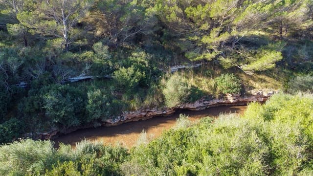 Area Edificabile in vendita in Colonia de Sant Pere / Colonia de San Pedro, Artà - 530.250 € (Rif: 8137838)