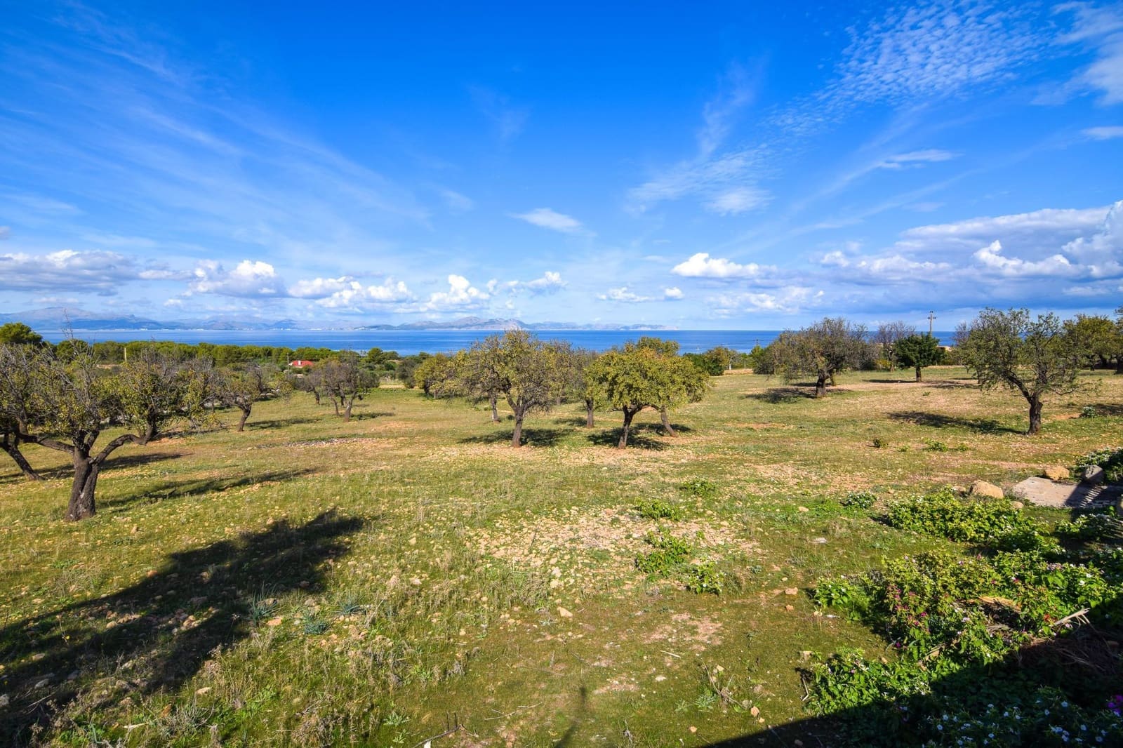 5 soverom Finca/Herregård til leie i Colonia de Sant Pere / Colonia de San Pedro med svømmebasseng garasje - € 4 500 (Ref: 8604574)