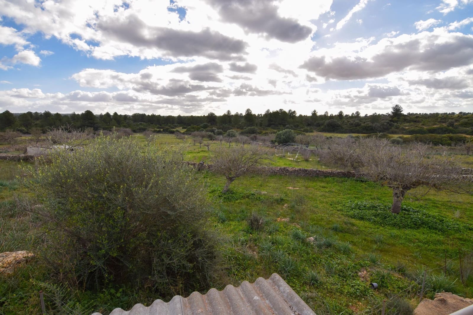 2 chambre Finca/Maison de Campagne à vendre à Santa Margalida avec piscine garage - 360 000 € (Ref: 8763393)