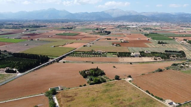 Finca/Casa di Campagna in vendita in Muro - 695.000 € (Rif: 8769911)