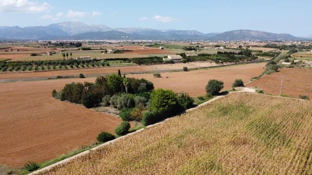 Finca/Casa di Campagna in vendita in Muro - 695.000 € (Rif: 8769911)