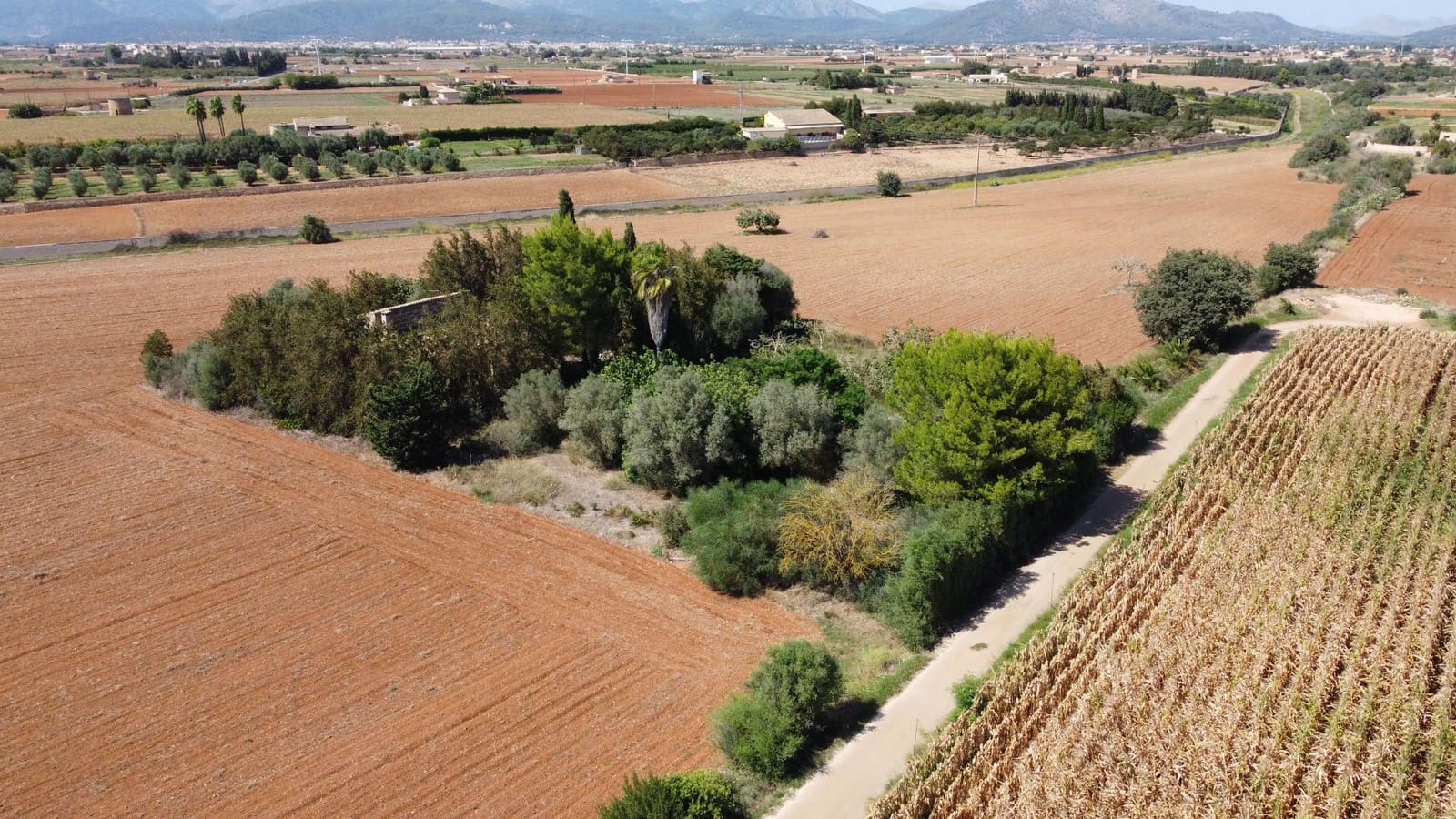 Finca/Landehus til salg i Muro - € 695.000 (Ref: 8769911)