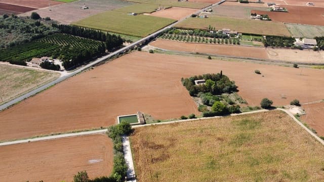 Finca/Casa di Campagna in vendita in Muro - 695.000 € (Rif: 8769911)