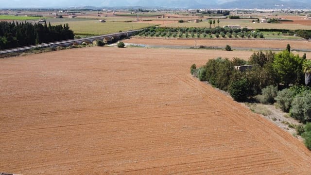 Finca/Casa di Campagna in vendita in Muro - 695.000 € (Rif: 8769911)