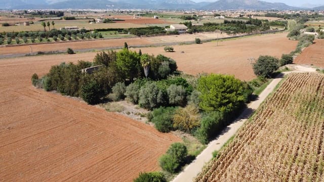 Finca/Casa di Campagna in vendita in Muro - 695.000 € (Rif: 8769911)