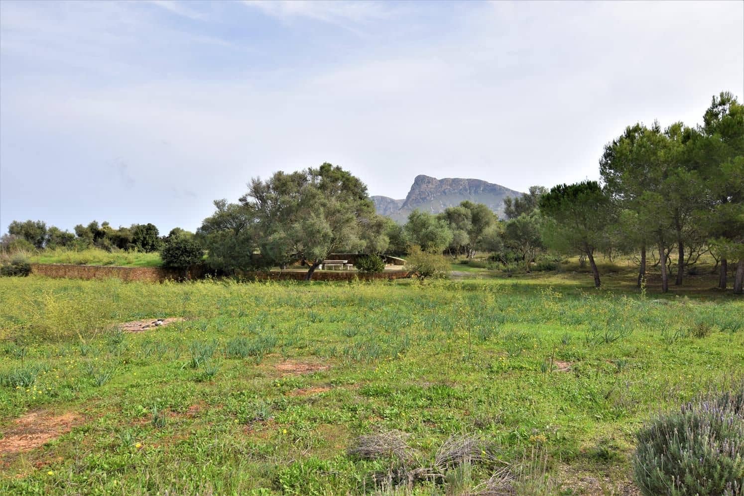 6 soveværelse Finca/Landehus til leje i Arta med swimmingpool garage - € 8.000 (Ref: 9499630)