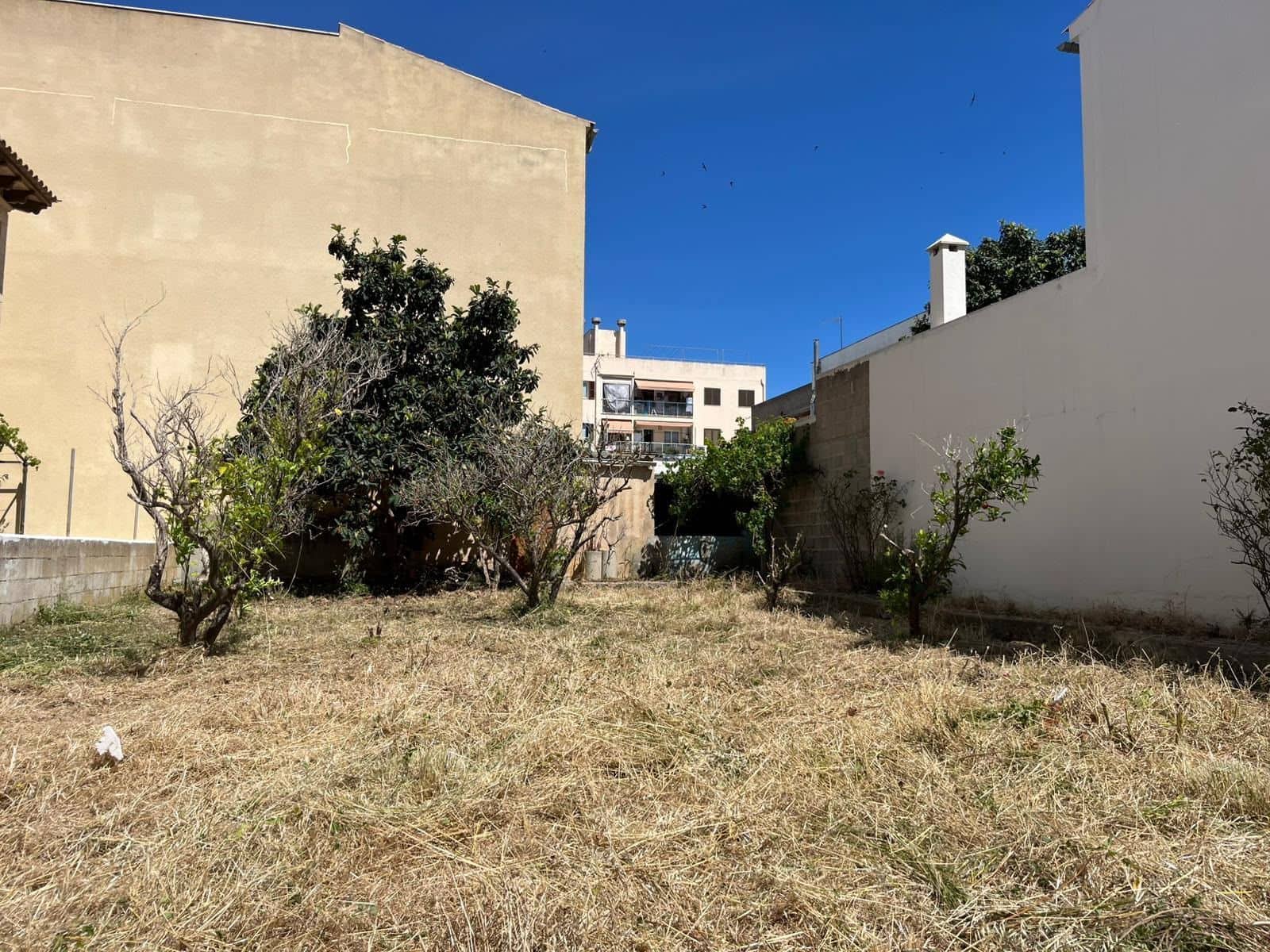 Building Plot for sale in Arta - € 220,000 (Ref: 9976747)
