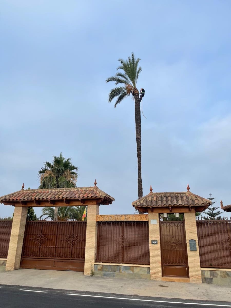 4 camera da letto Villa in vendita in Almoradi con piscina garage - 1.180.000 € (Rif: 10121041)