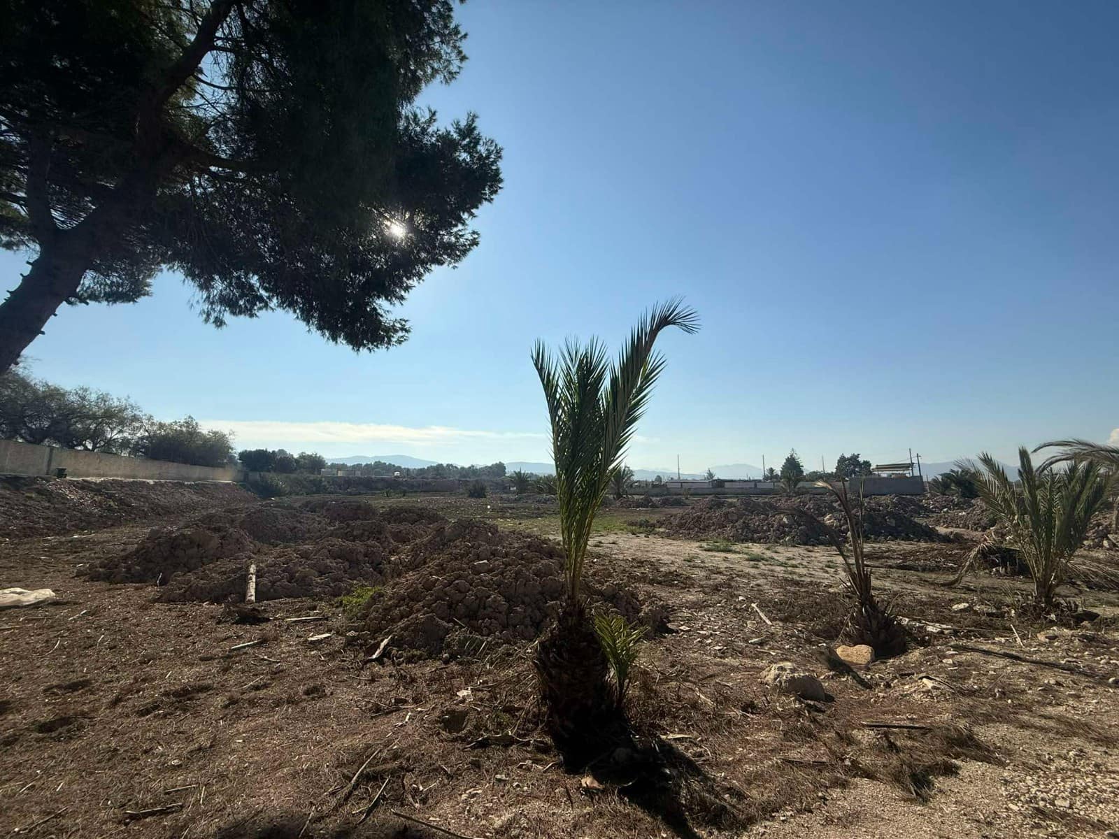 5 slaapkamer Finca/Landhuis te koop in Orihuela met zwembad - € 370.000 (Ref: 8637865)