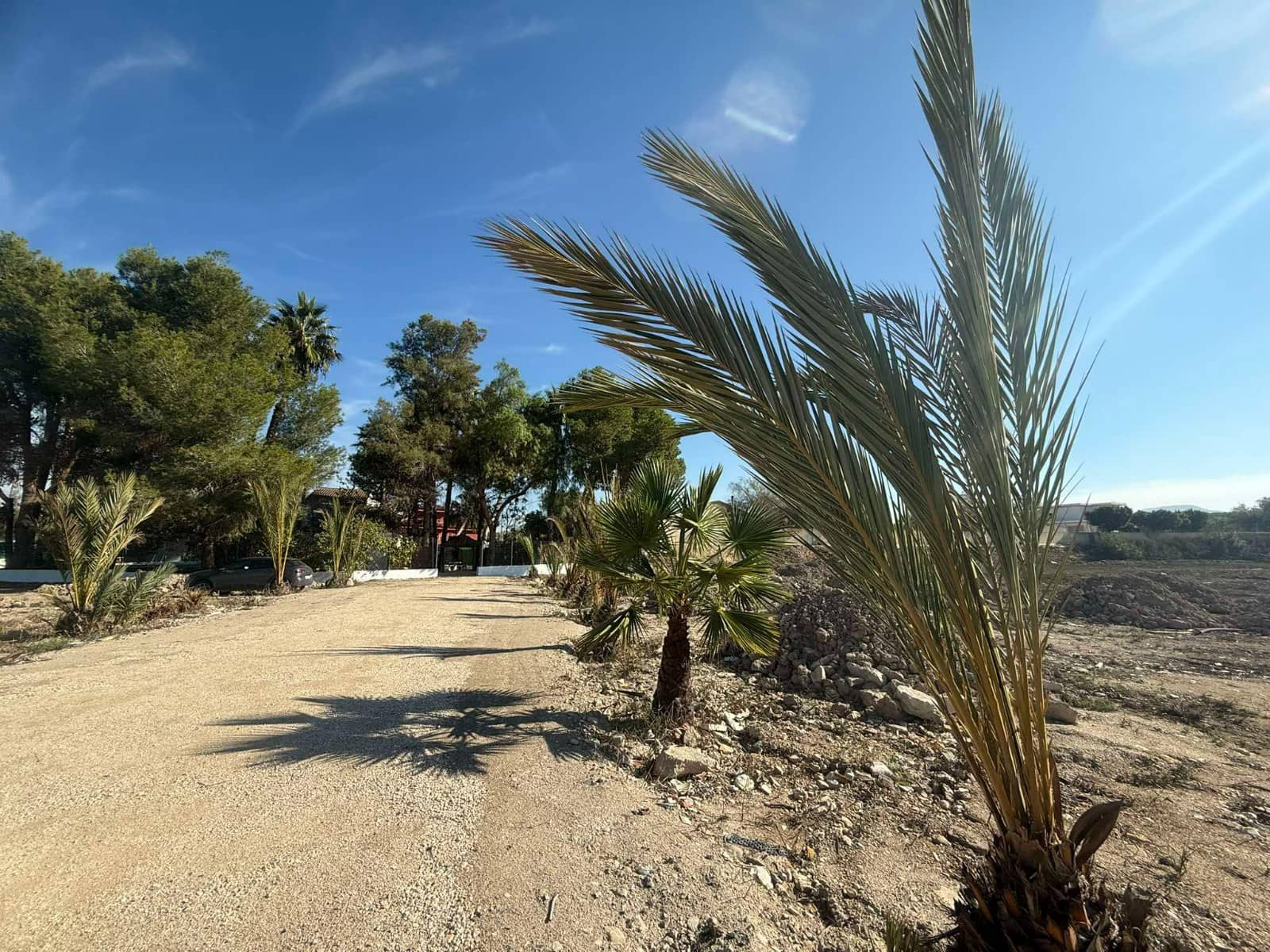 5 slaapkamer Finca/Landhuis te koop in Orihuela met zwembad - € 370.000 (Ref: 8637865)