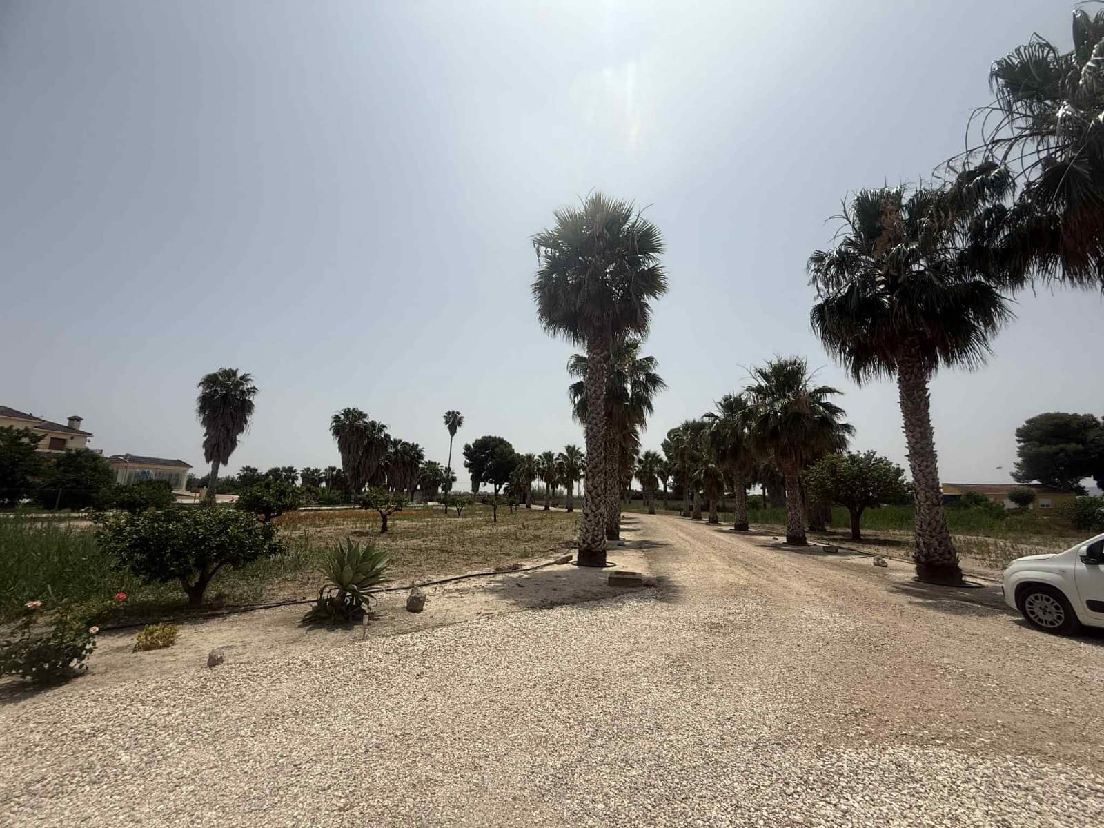 6 soveværelse Semi-Rækkehus til salg i Almoradi med swimmingpool garage - € 850.000 (Ref: 9061693)