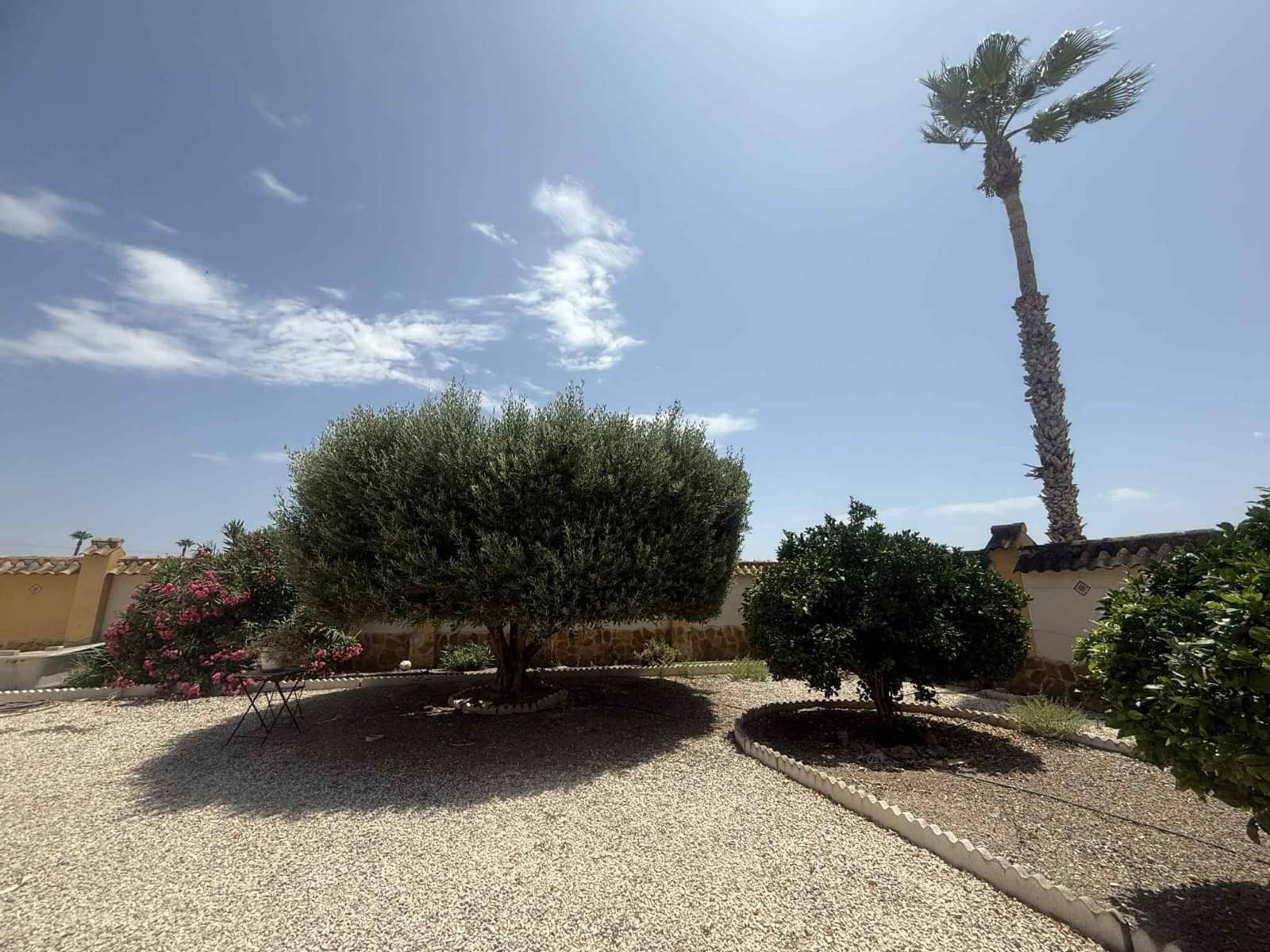 3 slaapkamer Villa te koop in Catral met zwembad - € 369.000 (Ref: 9066742)