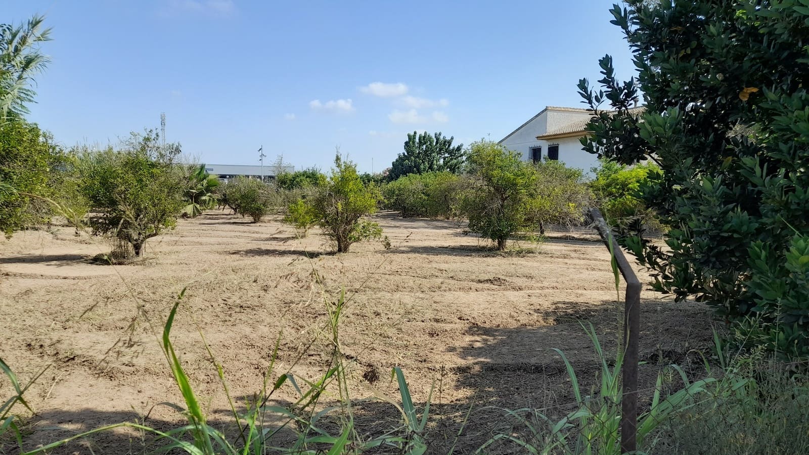 5 soveværelse Finca/Landehus til salg i Benejuzar med swimmingpool garage - € 295.000 (Ref: 9172156)