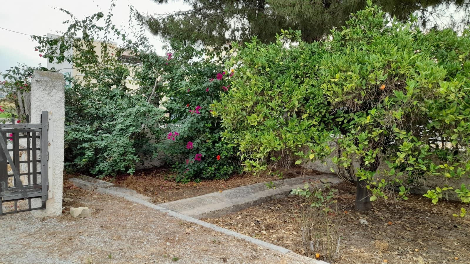 5 soveværelse Finca/Landehus til salg i Benejuzar med swimmingpool garage - € 295.000 (Ref: 9172156)