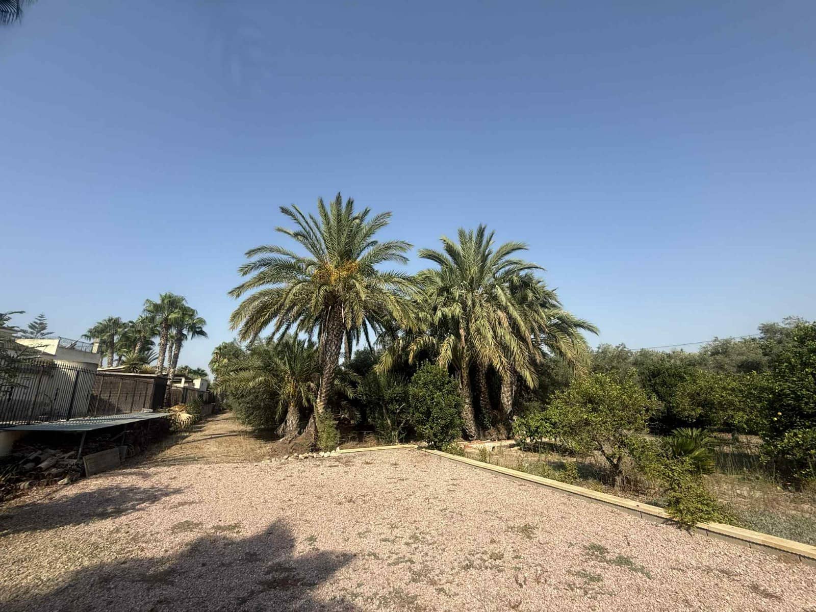 Finca/Casa Rural de 3 habitaciones en Catral en venta con piscina - 385.000 € (Ref: 9190261)