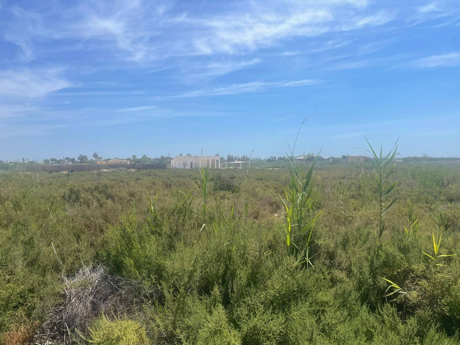 Grond te koop in Catral - € 93.000 (Ref: 9844189)