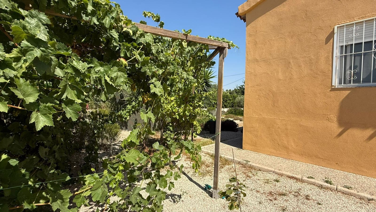 3 soveværelse Finca/Landehus til salg i Catral med swimmingpool garage - € 390.000 (Ref: 9946572)