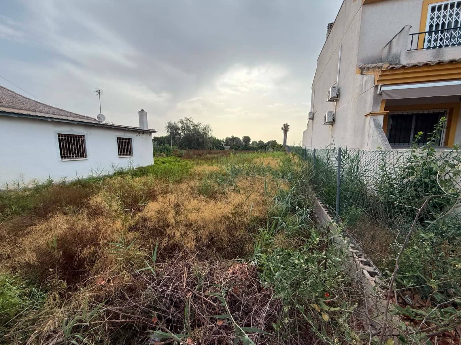 Terreno/Finca Rústica en Daya Nueva en venta - 60.000 € (Ref: 9971705)