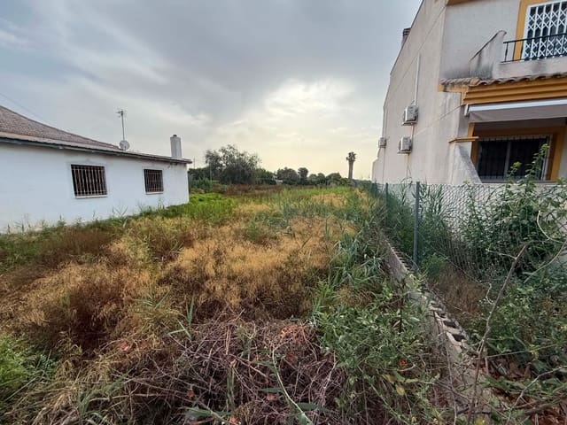 Terreno/Finca Rústica en Daya Nueva en venta - 60.000 € (Ref: 9971705)