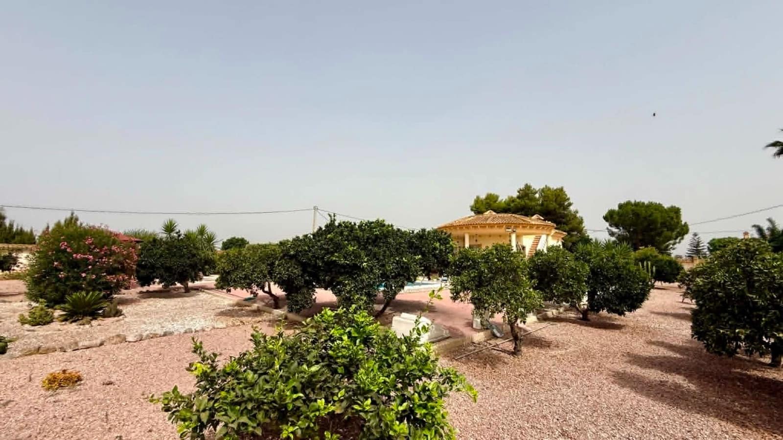 3 soveværelse Villa til salg i Catral med swimmingpool garage - € 389.000 (Ref: 9977712)