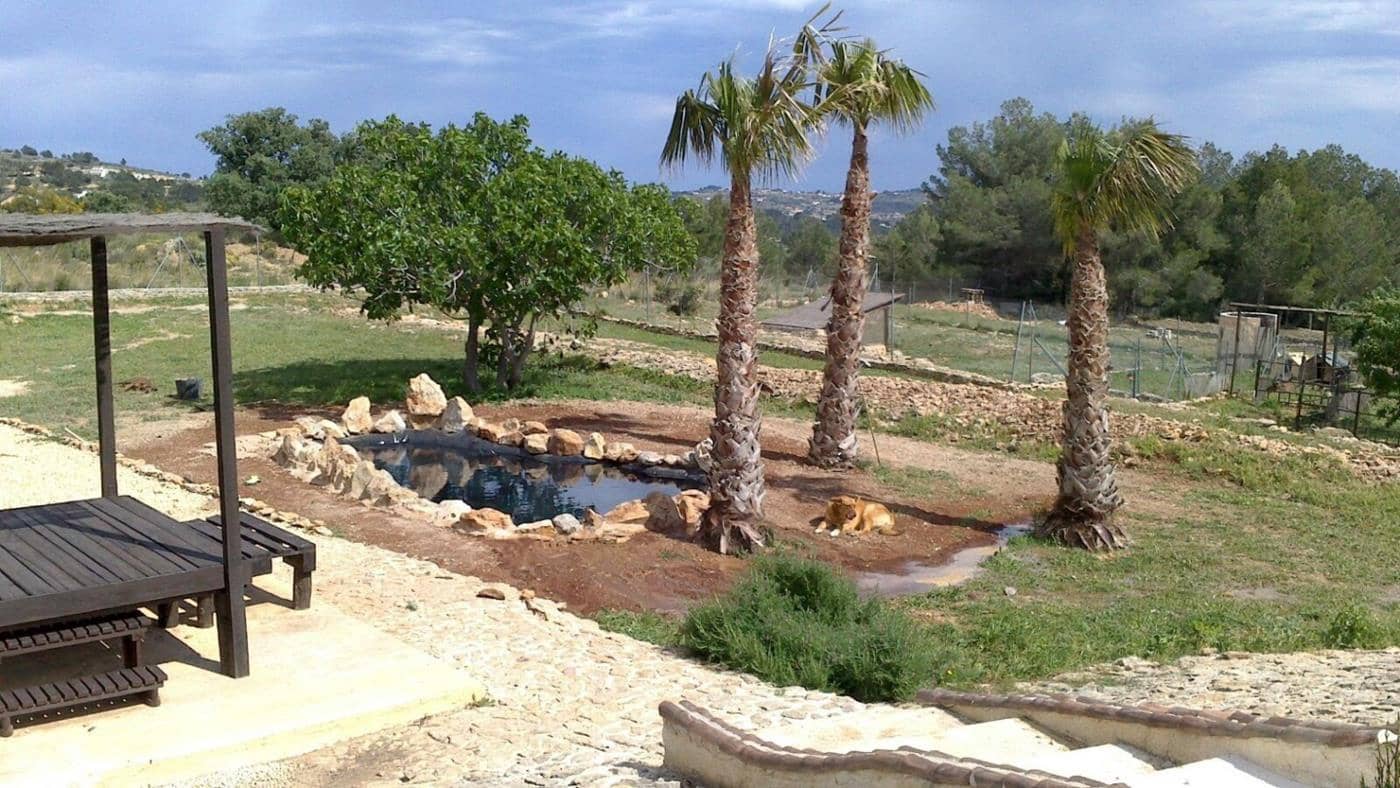 8 camera da letto Finca/Casa di Campagna in vendita in Benissa - 1.445.000 € (Rif: 9861097)