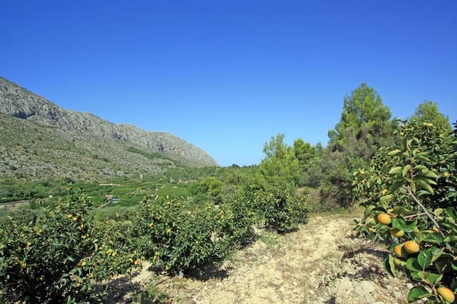 Undeveloped Land for sale in Beniarbeig - € 165,000 (Ref: 7757595)