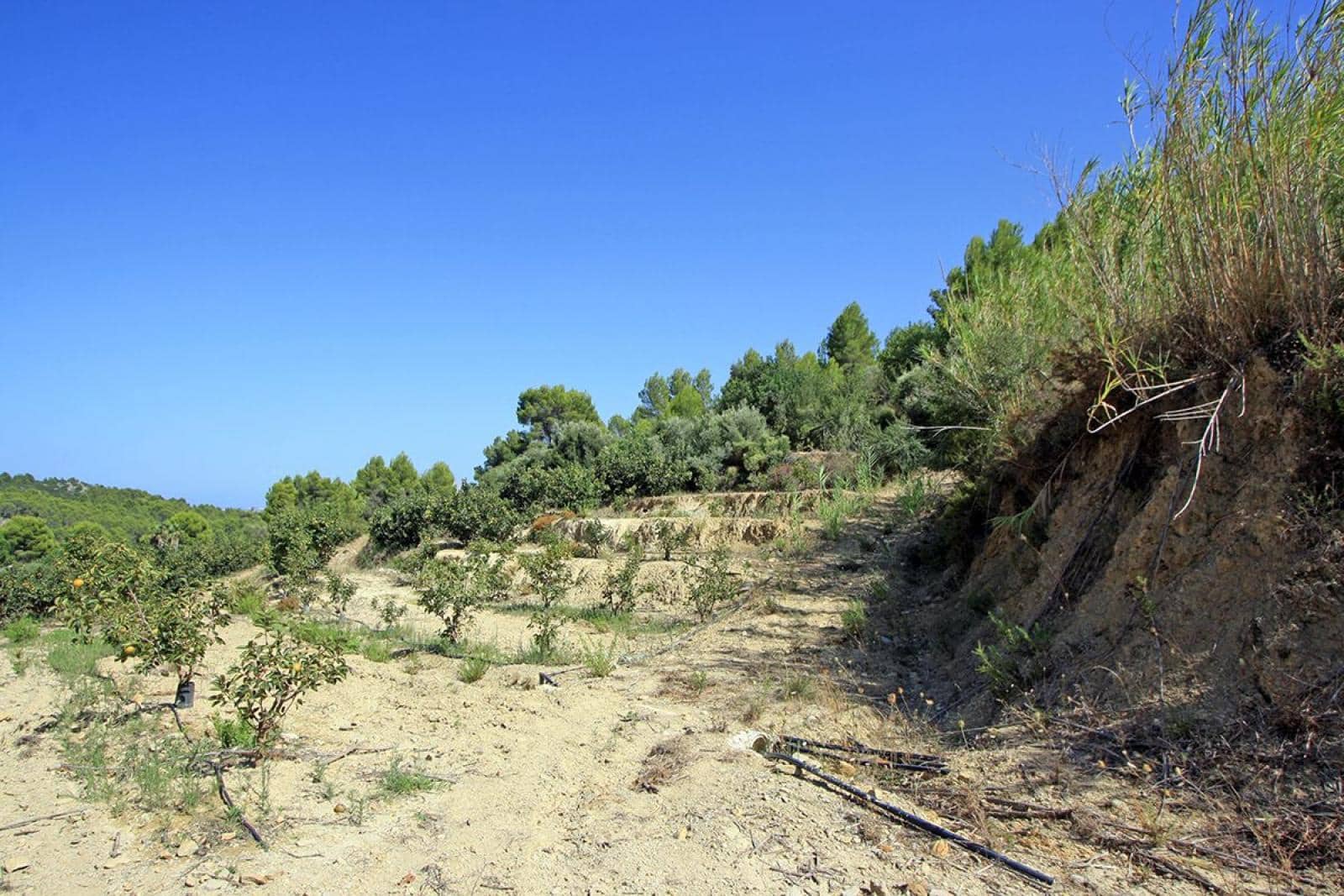 Undeveloped Land for sale in Beniarbeig - € 165,000 (Ref: 7757595)