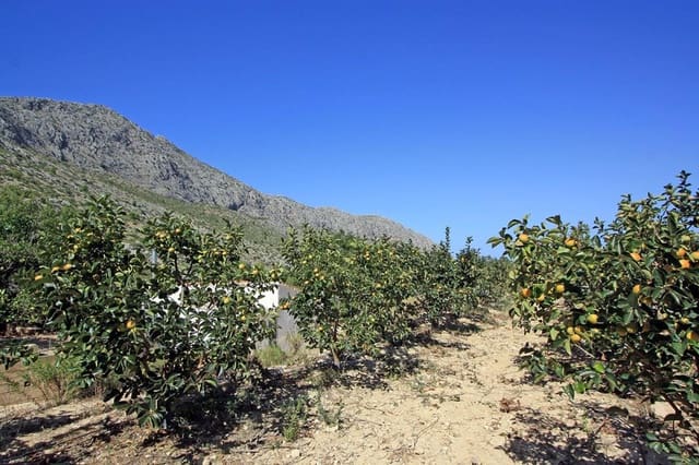 Undeveloped Land for sale in Beniarbeig - € 165,000 (Ref: 7757595)