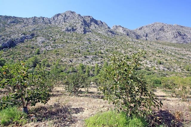 Undeveloped Land for sale in Beniarbeig - € 165,000 (Ref: 7757595)