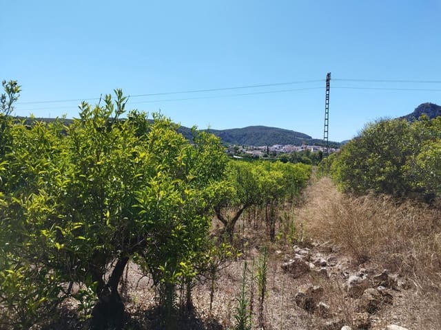 Undeveloped Land for sale in Orba - € 100,000 (Ref: 7823013)