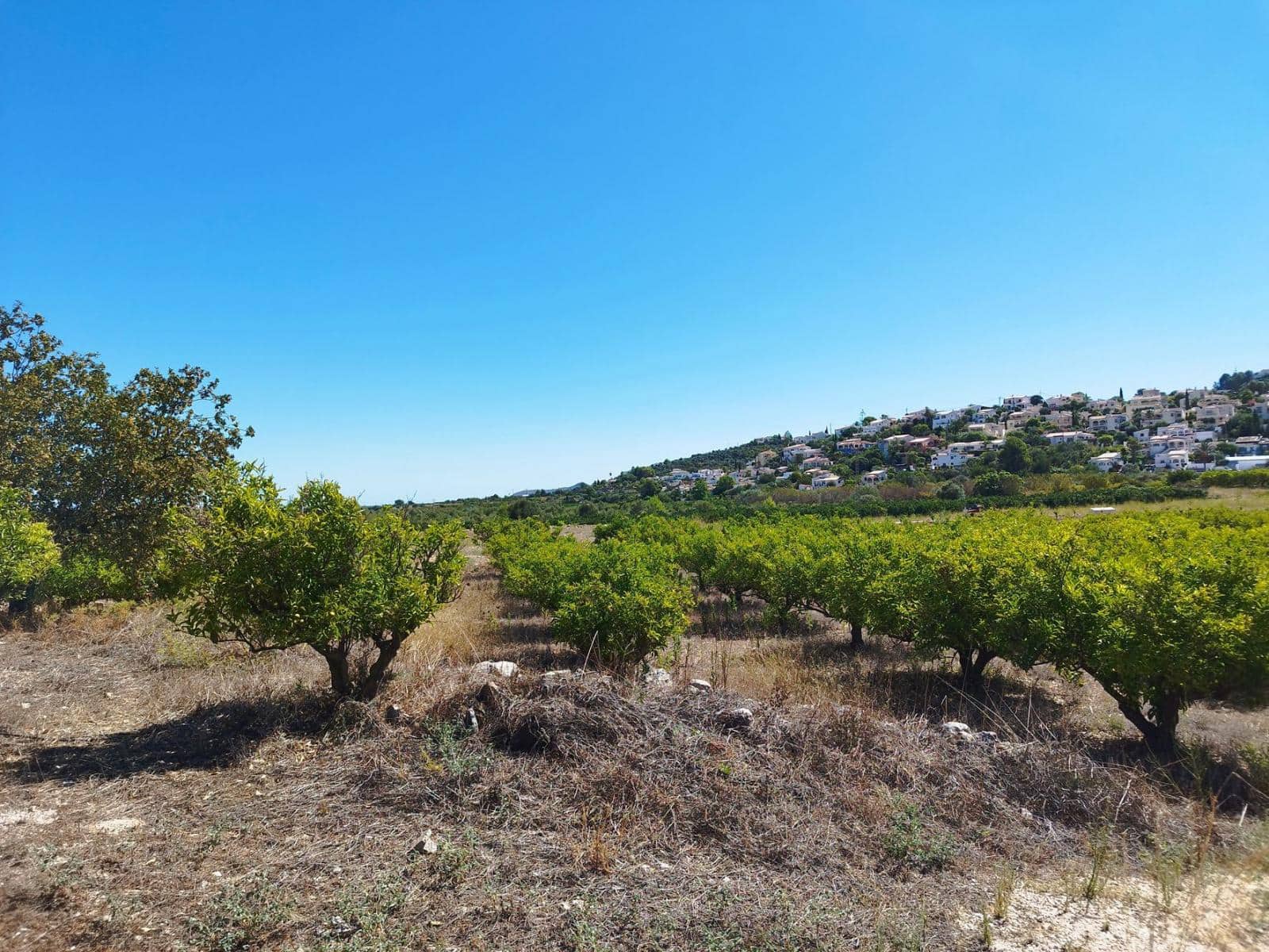 Ubebygd land til salgs i Orba - € 100 000 (Ref: 7823013)