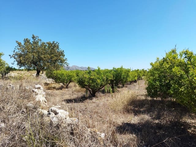 Undeveloped Land for sale in Orba - € 100,000 (Ref: 7823013)