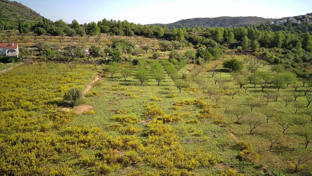 Undeveloped Land for sale in Murla - € 100,000 (Ref: 8401763)